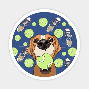 Funny Dog, Sneakers, Ball, Play Magnet